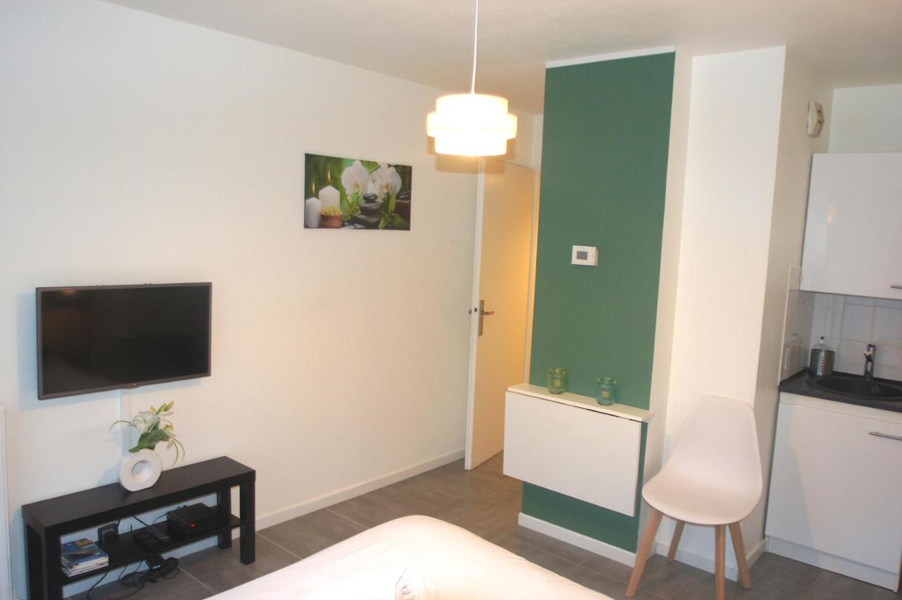 Le Saint Eloi - Studio Avec Parking Toulouse Centre Leilighet Eksteriør bilde